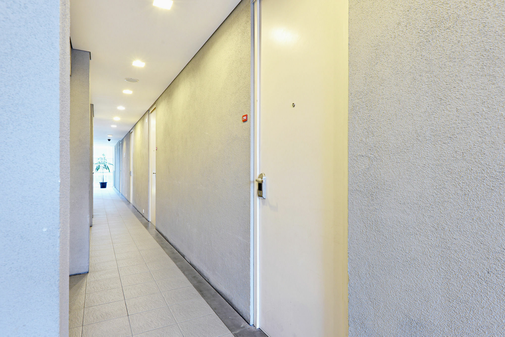 Zen Rooms Halimun Palasari Bandung Exteriör bild